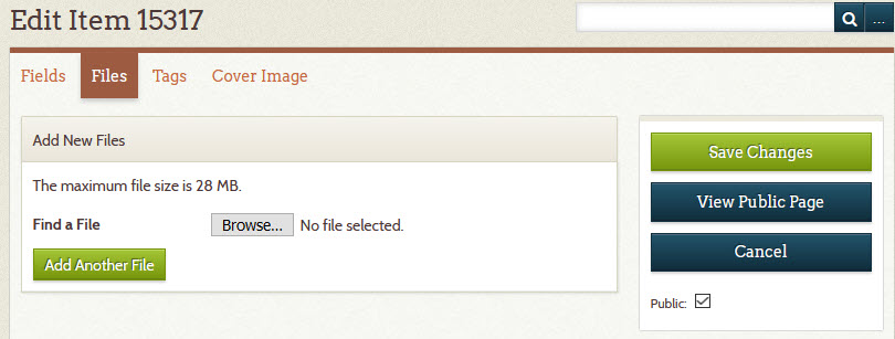 Files tab
